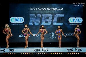 WELLNESS НОВИЧКИ
